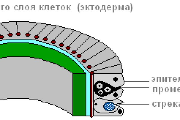 Кракен маркетплейс kr2web in площадка торговая